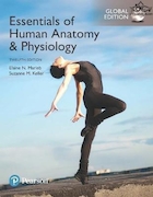 Essentials of Human Anatomy & Physiology plus Pearson Mastering Anatomy & Physiology with Pearson eText, Global Edition 12th Edición | ملزومات آناتومی و فیزیولوژی انسان به همراه پیرسون